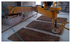 Polishing Machine